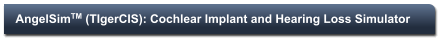 AngelSimTM (TIgerCIS): Cochlear Implant and Hearing Loss Simulator